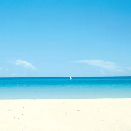 Riu Concordia 4* 帕尔马海滩
