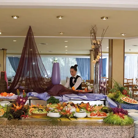 Riu Concordia 4* 帕尔马海滩
